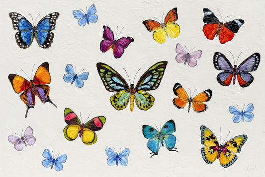 Bevy of Butterflies