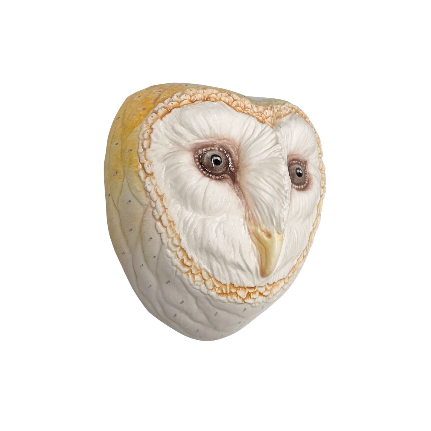 Barn Owl 32