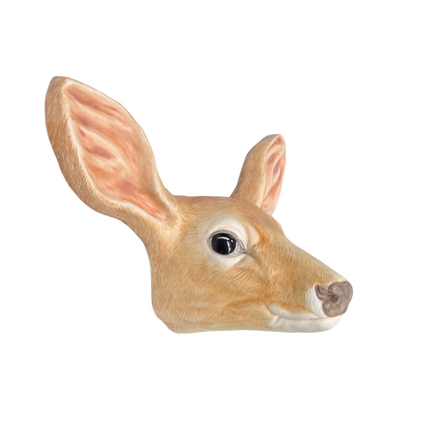 Doe 9