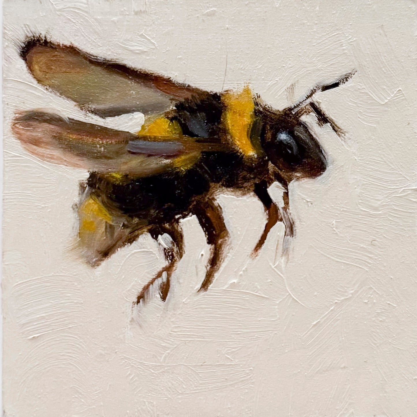 Bee