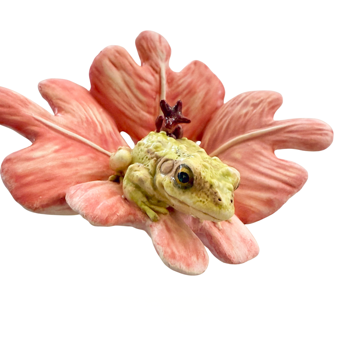 Fairy Fan and Frog 15
