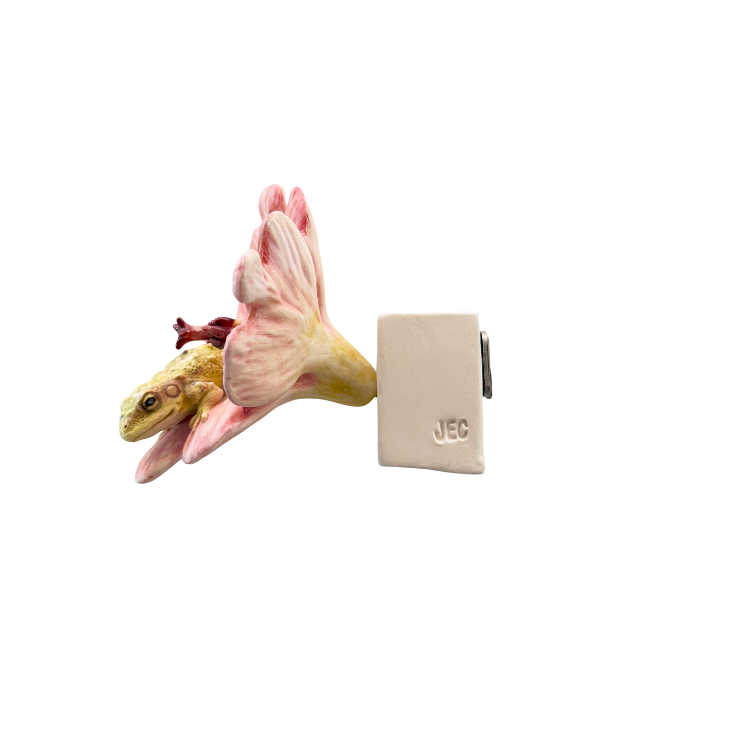 Fairy Fan and Frog 15