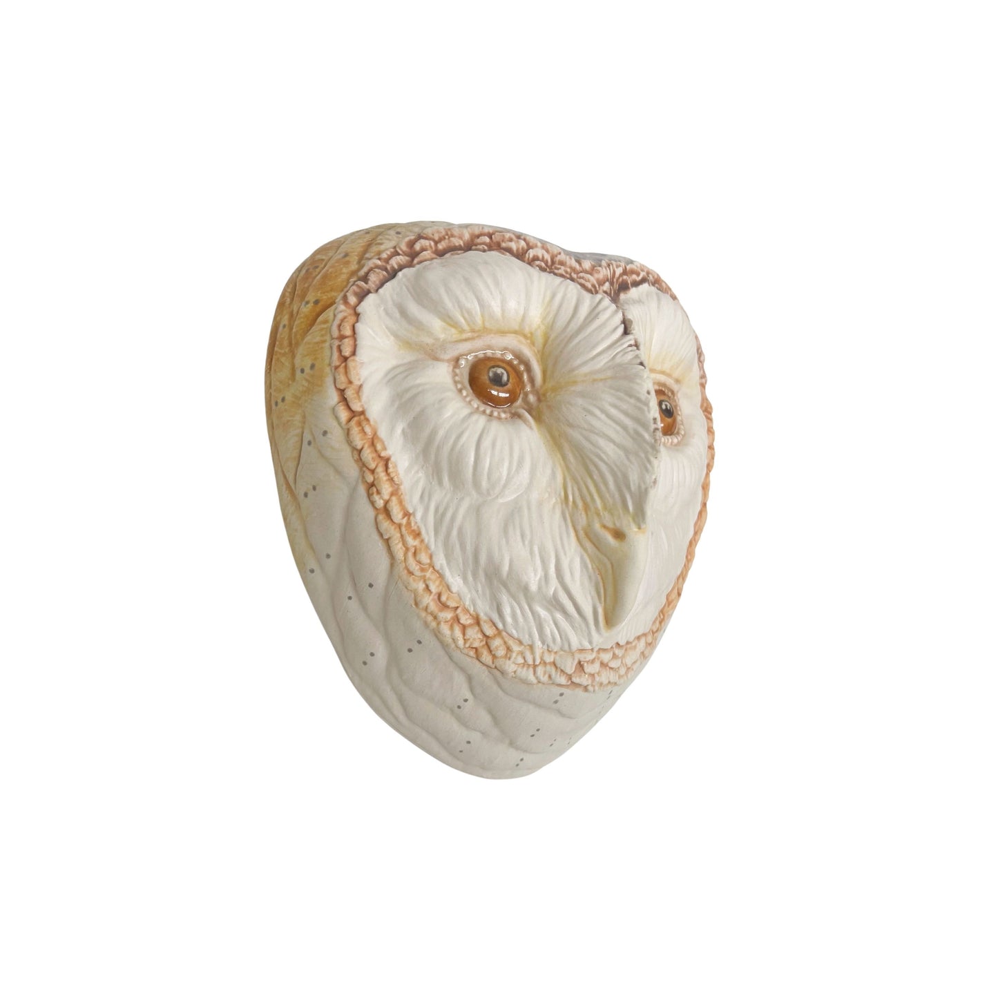 Barn Owl 33