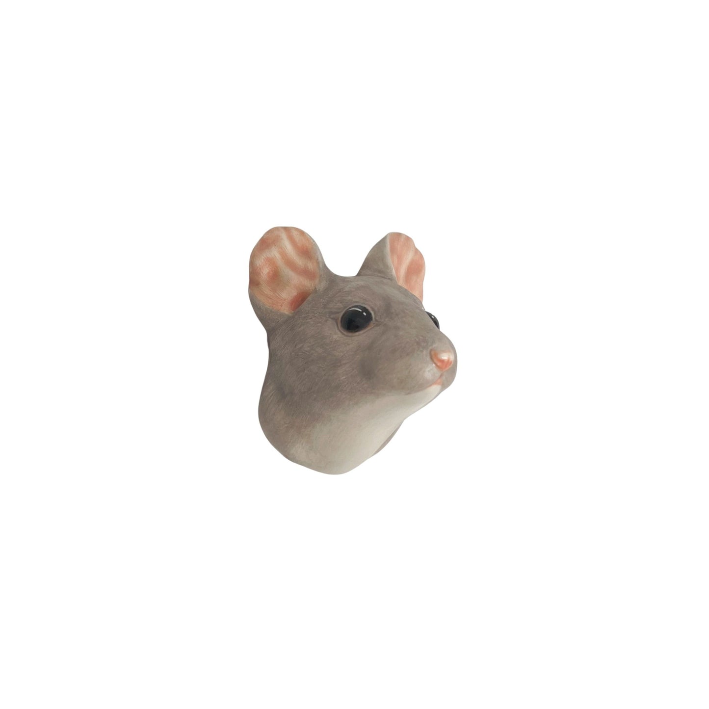 Mouse 43