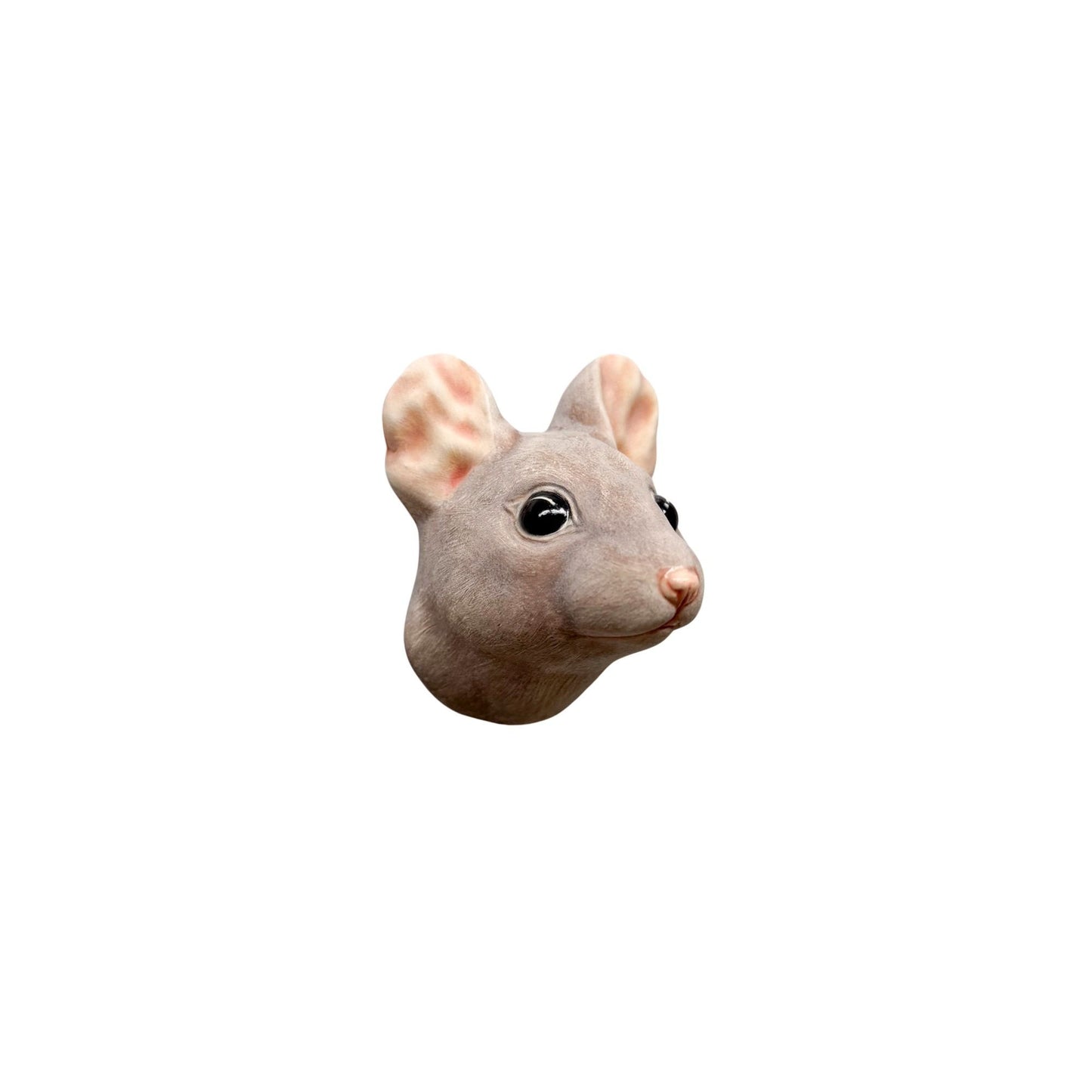 Mouse 46