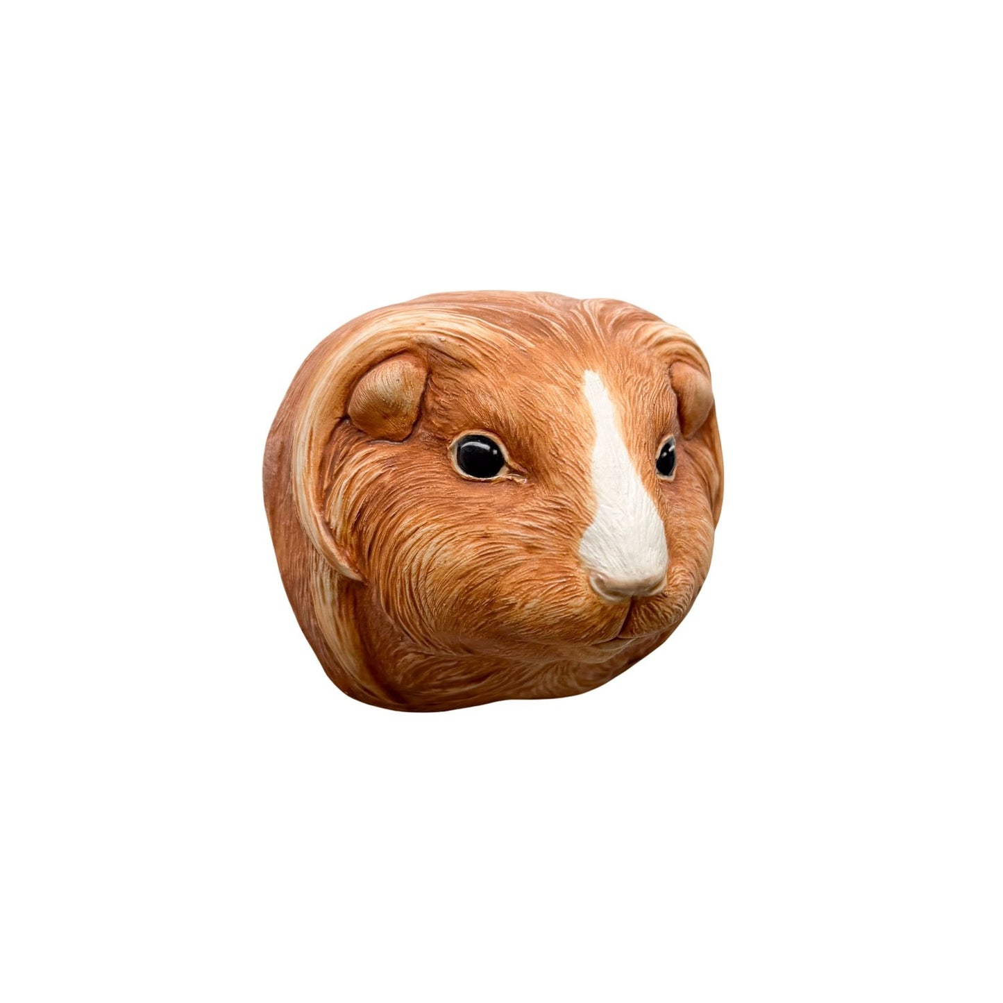 Guinea Pig 1
