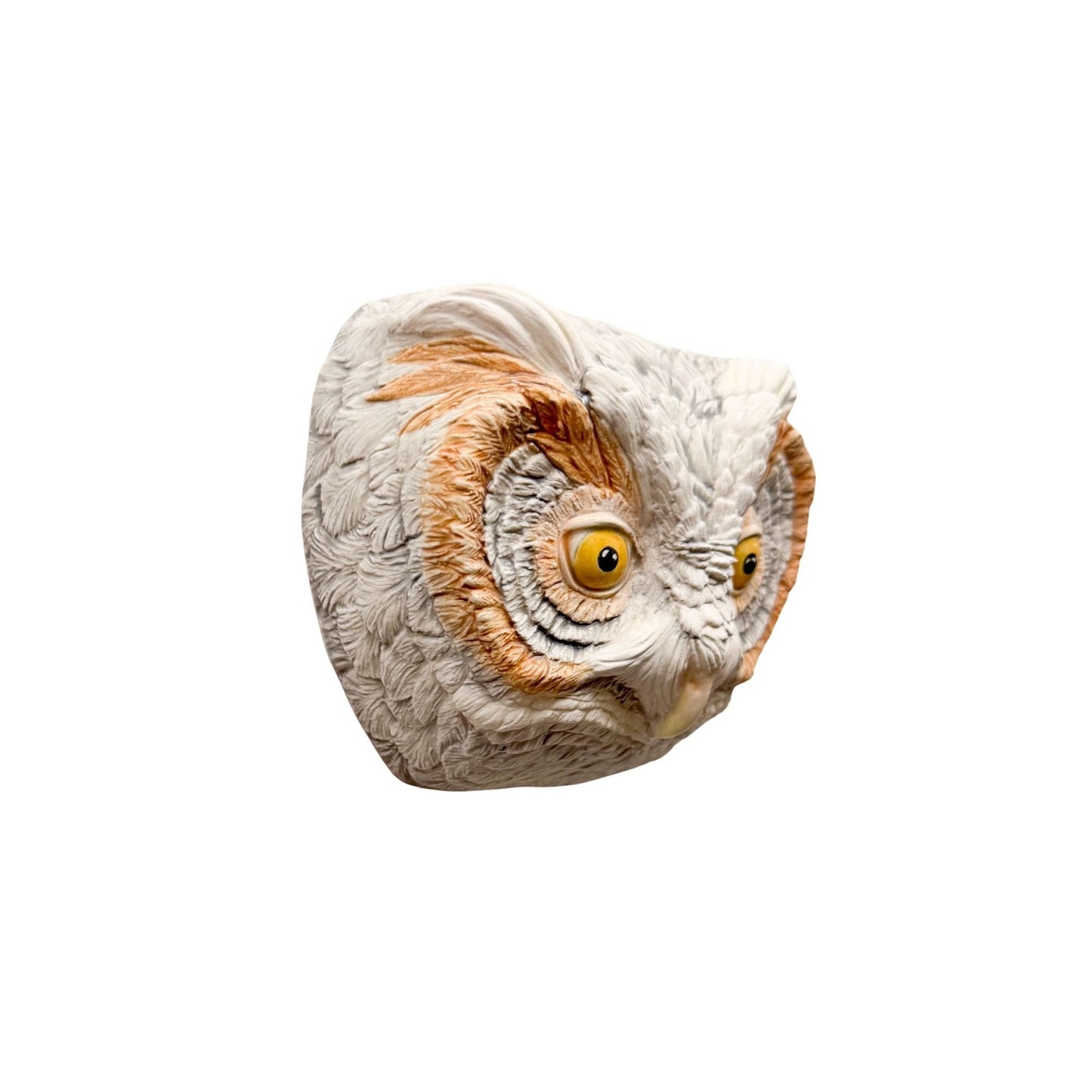 Flammulated Owl 40