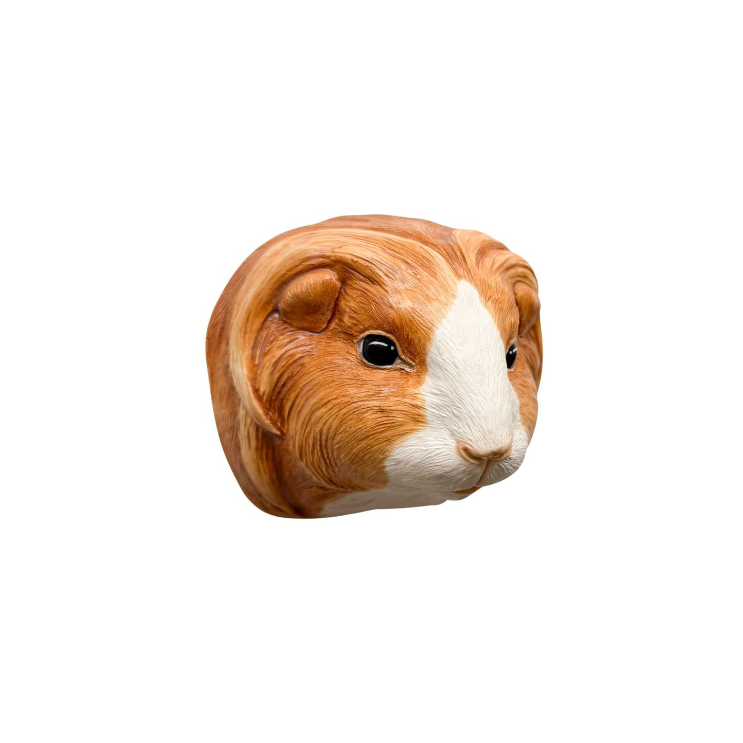 Guinea Pig 8