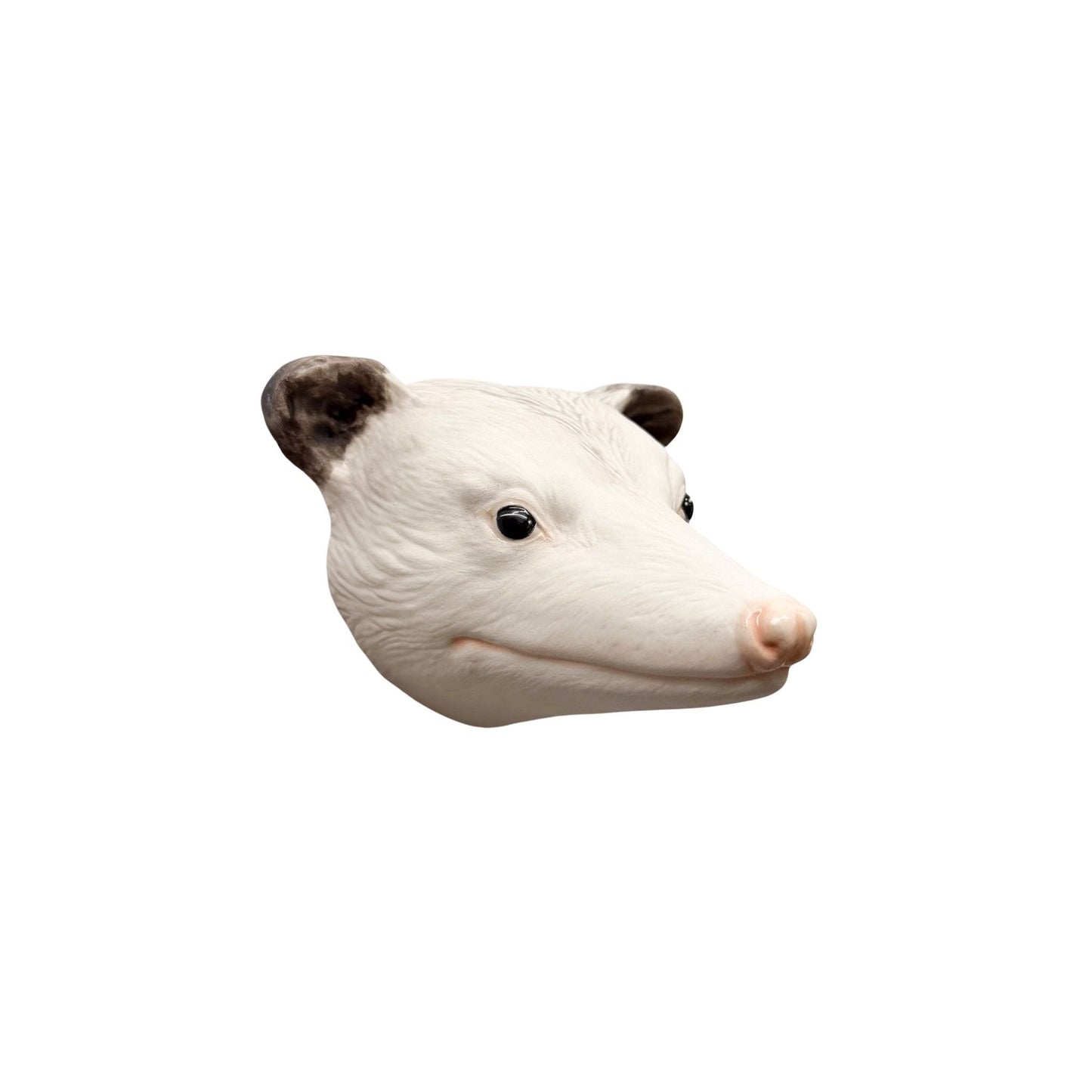 Opossum 63