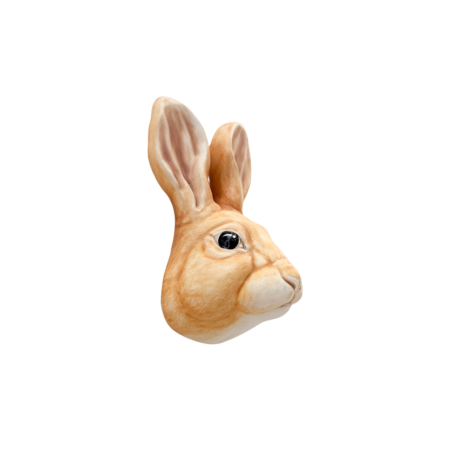 Rabbit 13