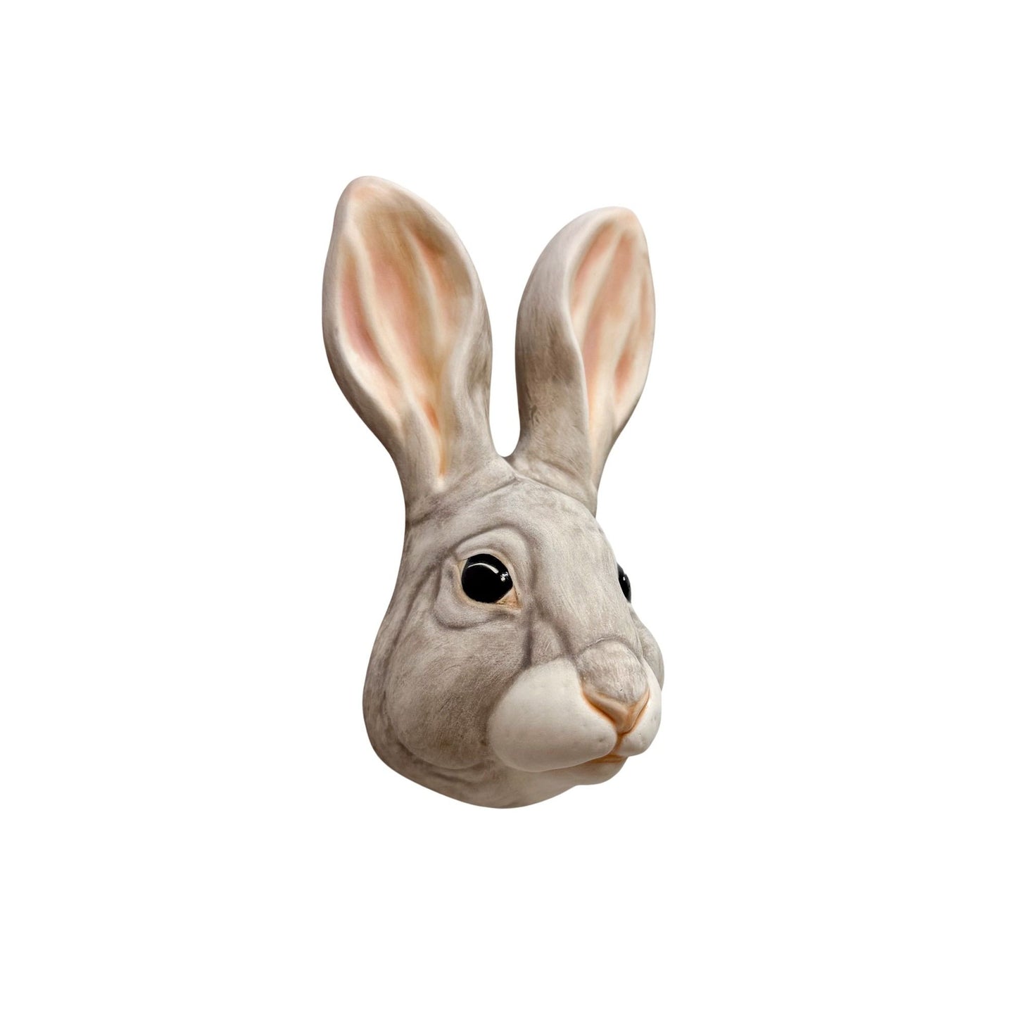 Rabbit 3
