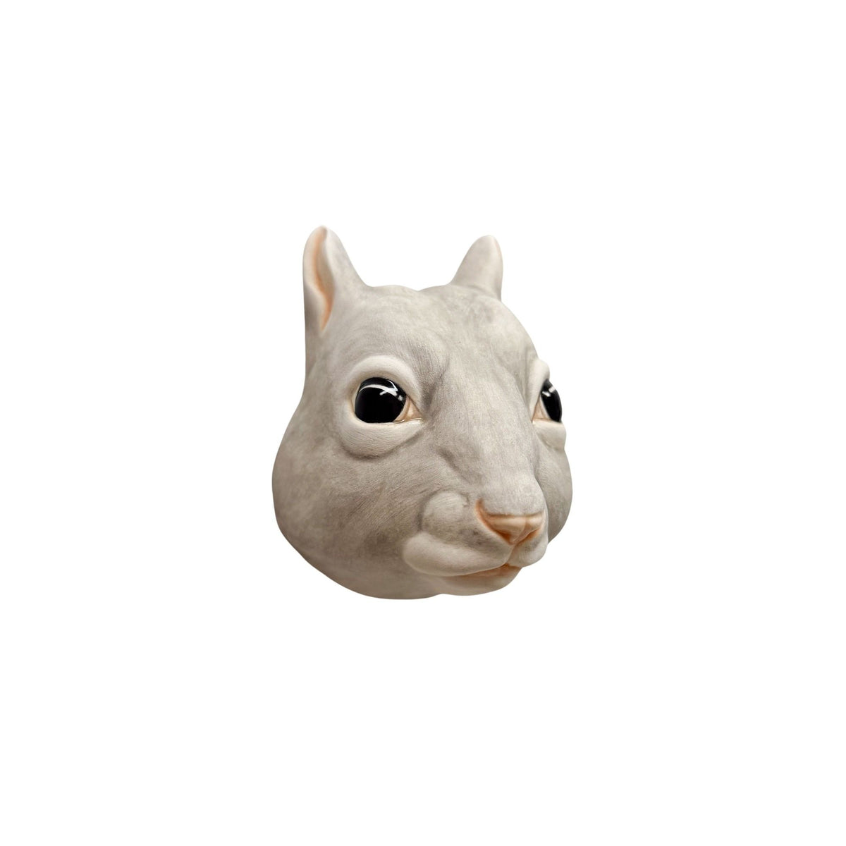 Squirrel 38