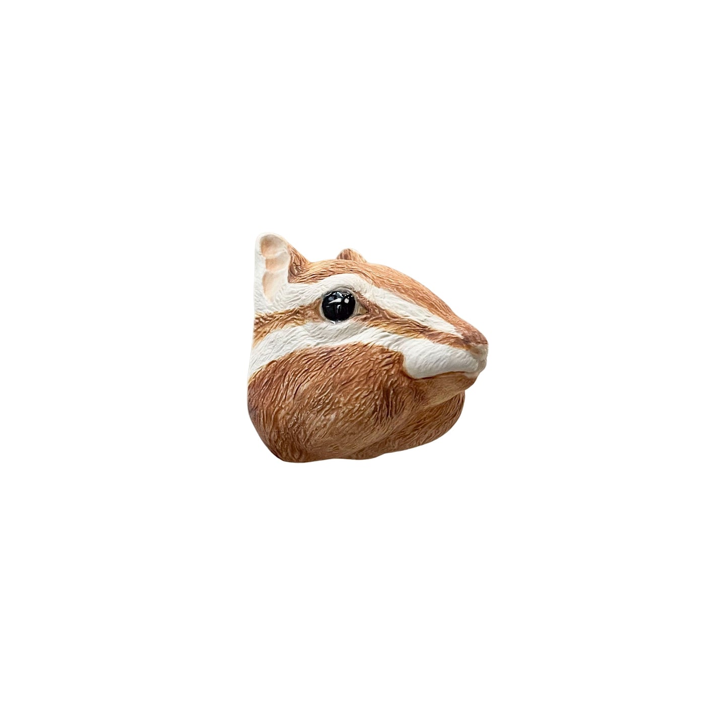 Chipmunk 46