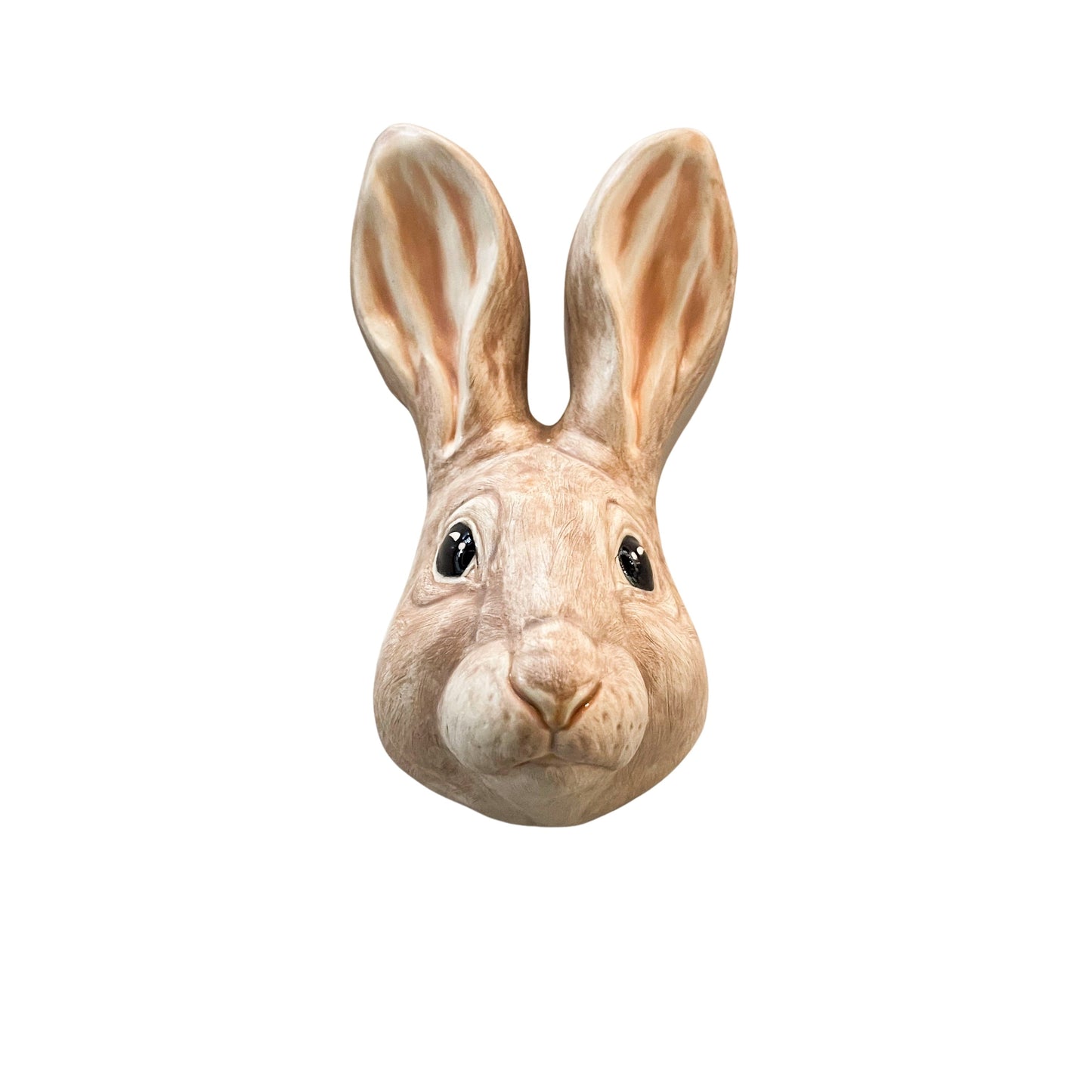 Rabbit 20