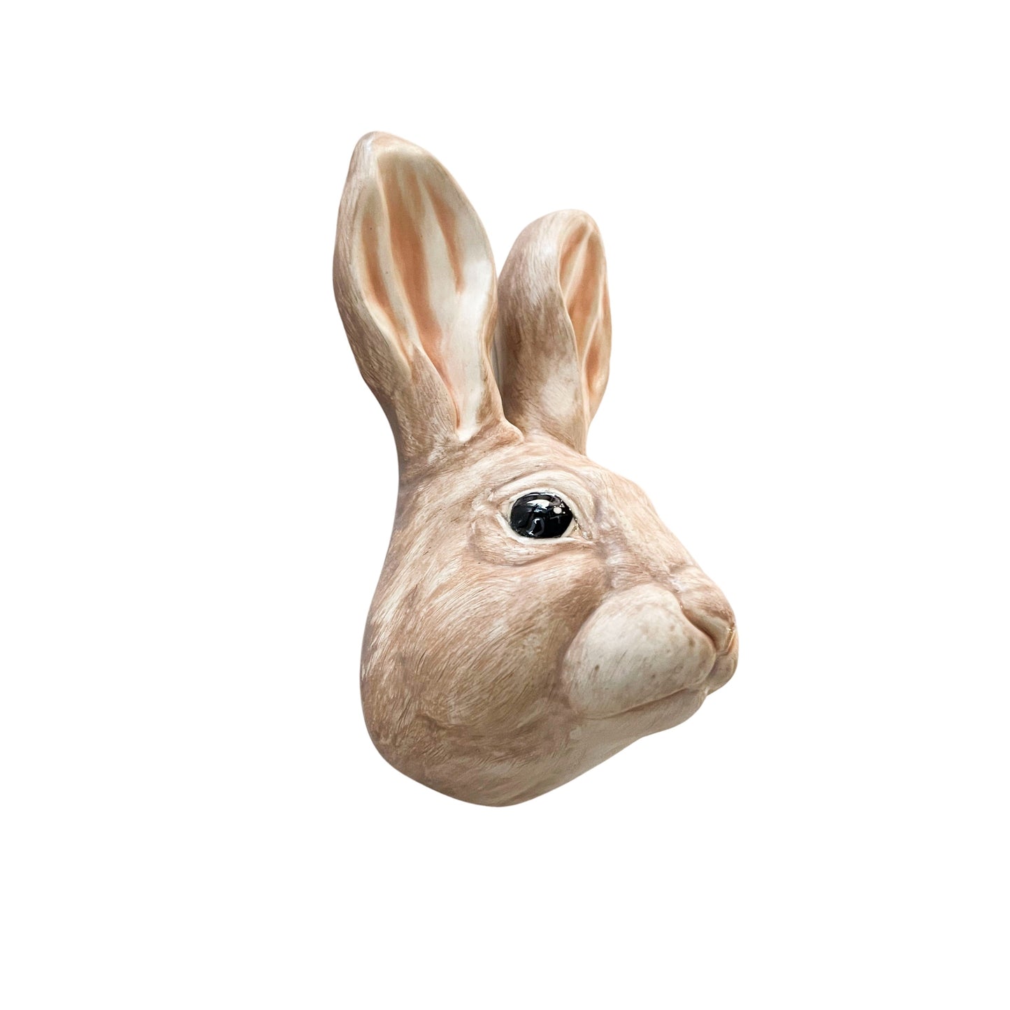Rabbit 20