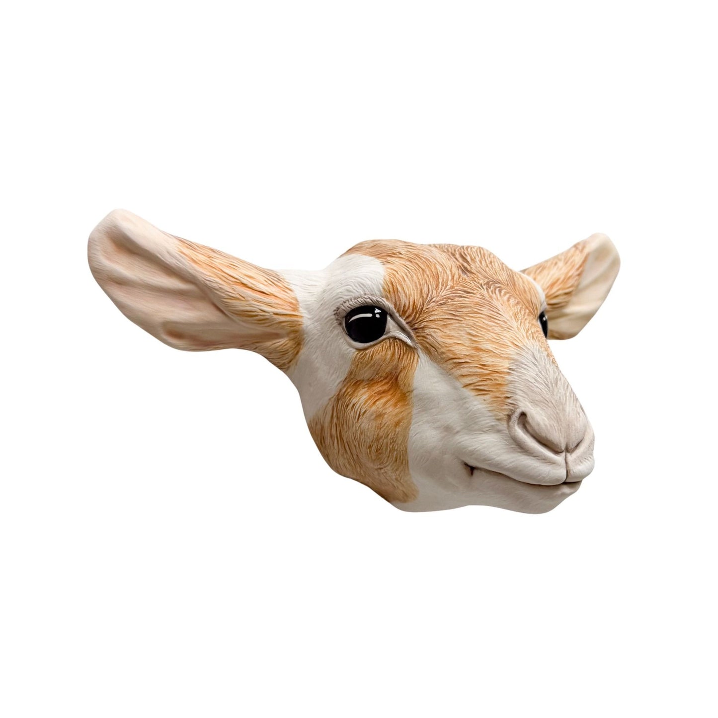 Goat 14