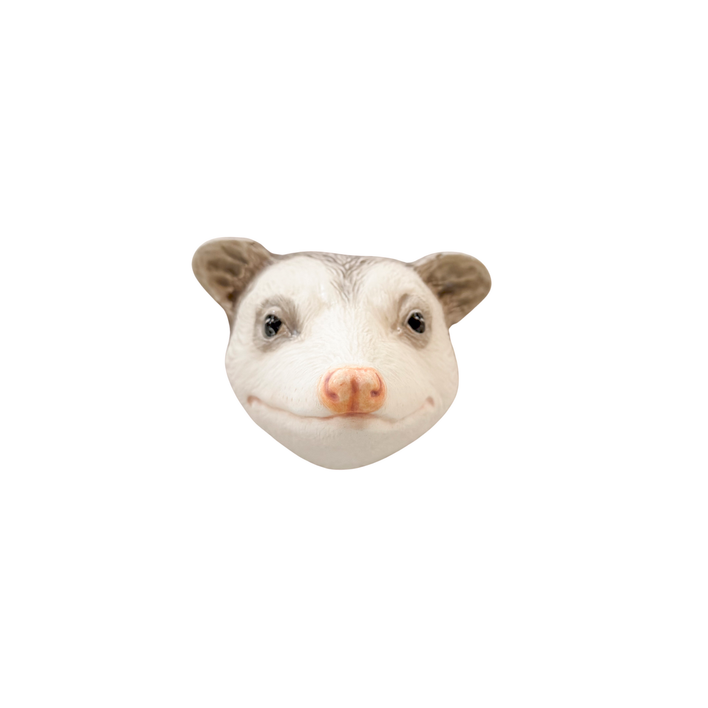 Opossum 5
