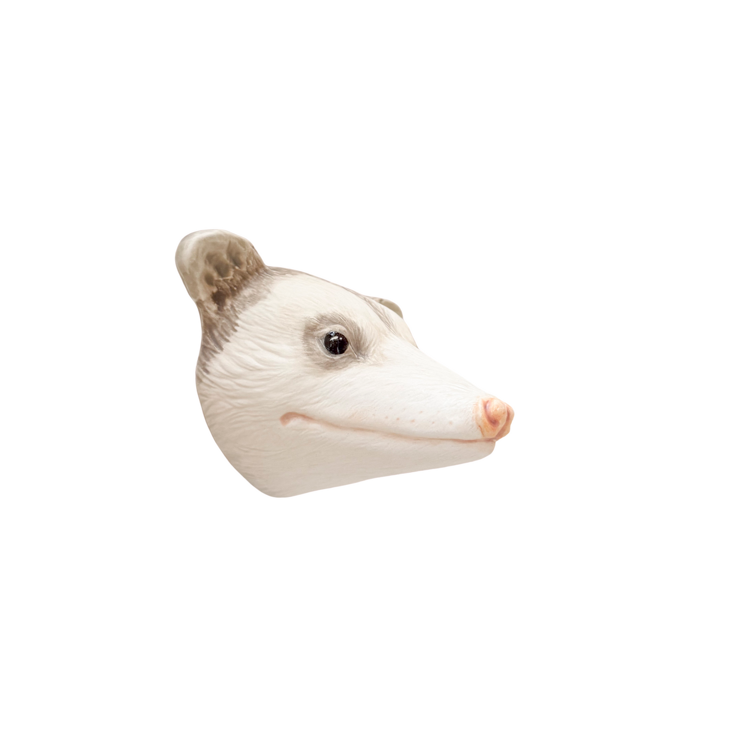 Opossum 5
