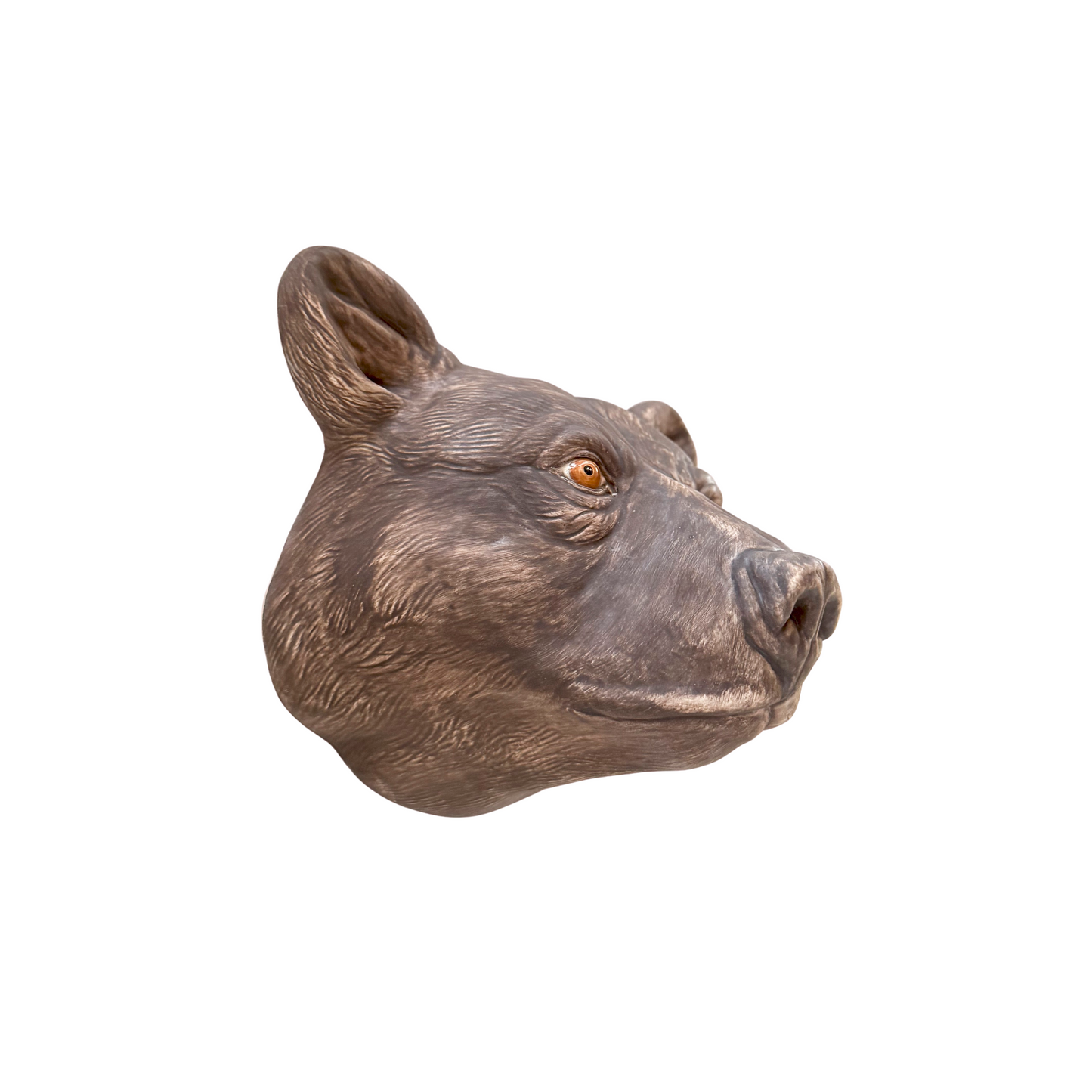 Bear 5