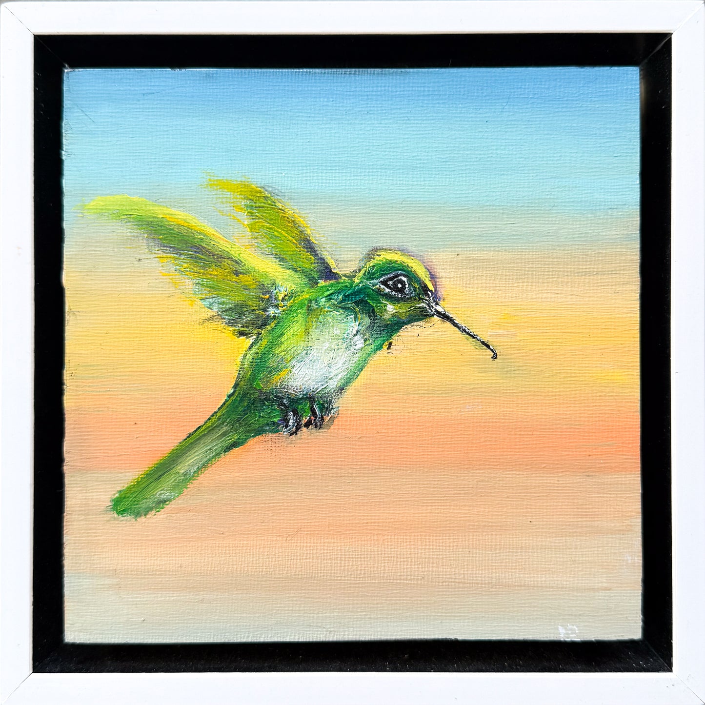 Hummingbird #12