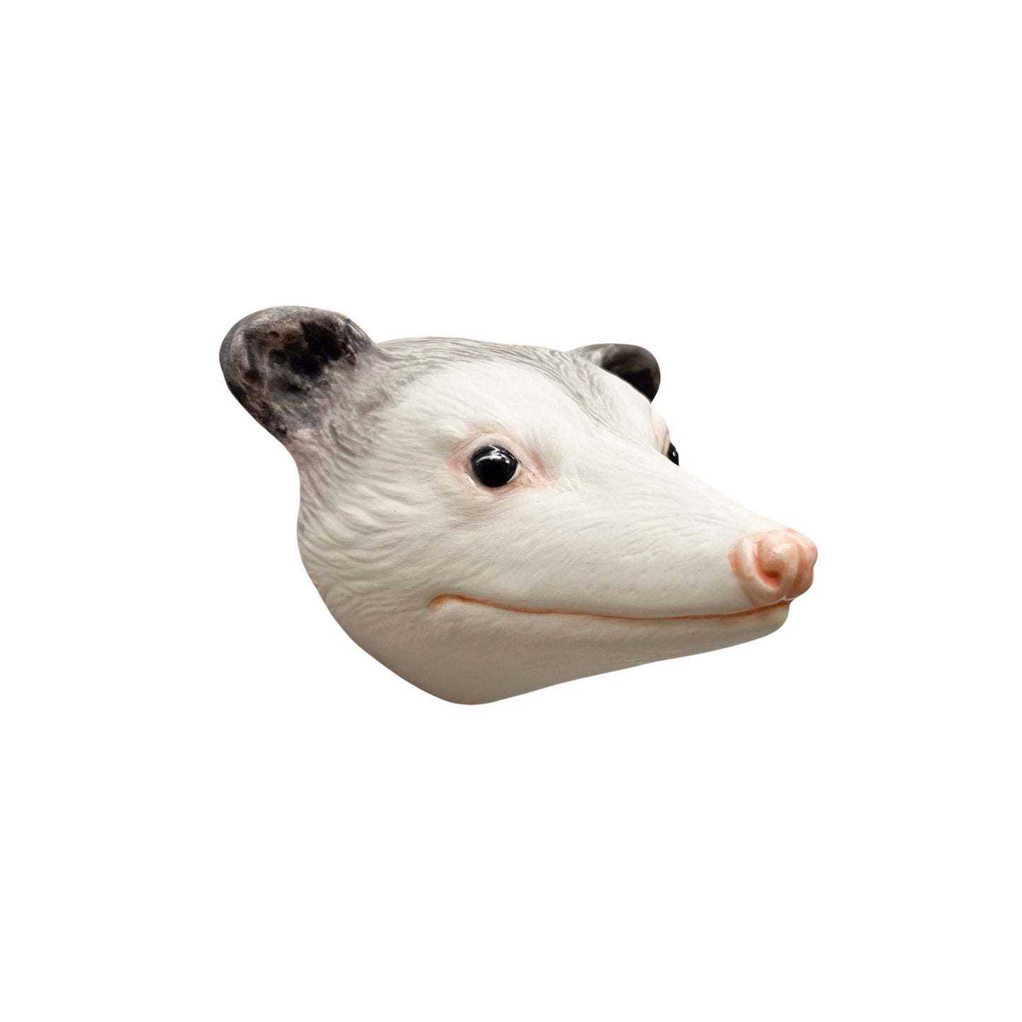 Opossum 61