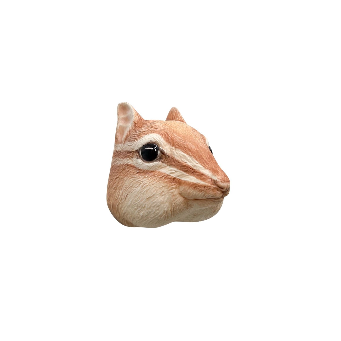 Chipmunk 63