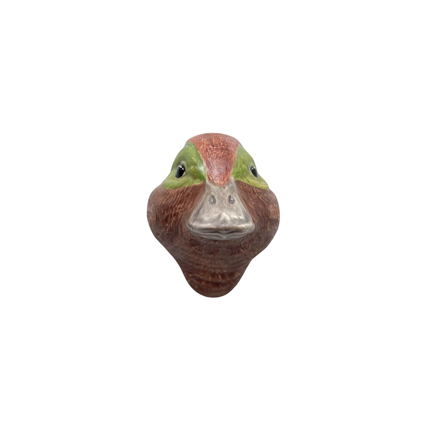 Green Wing Teal 4