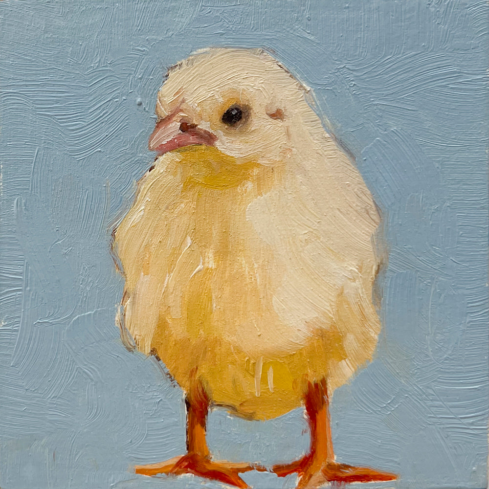 Baby Chick
