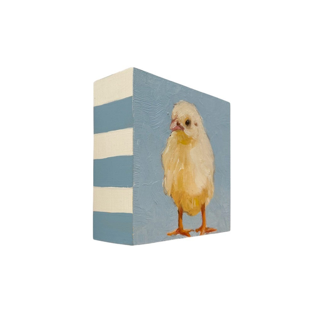 Baby Chick