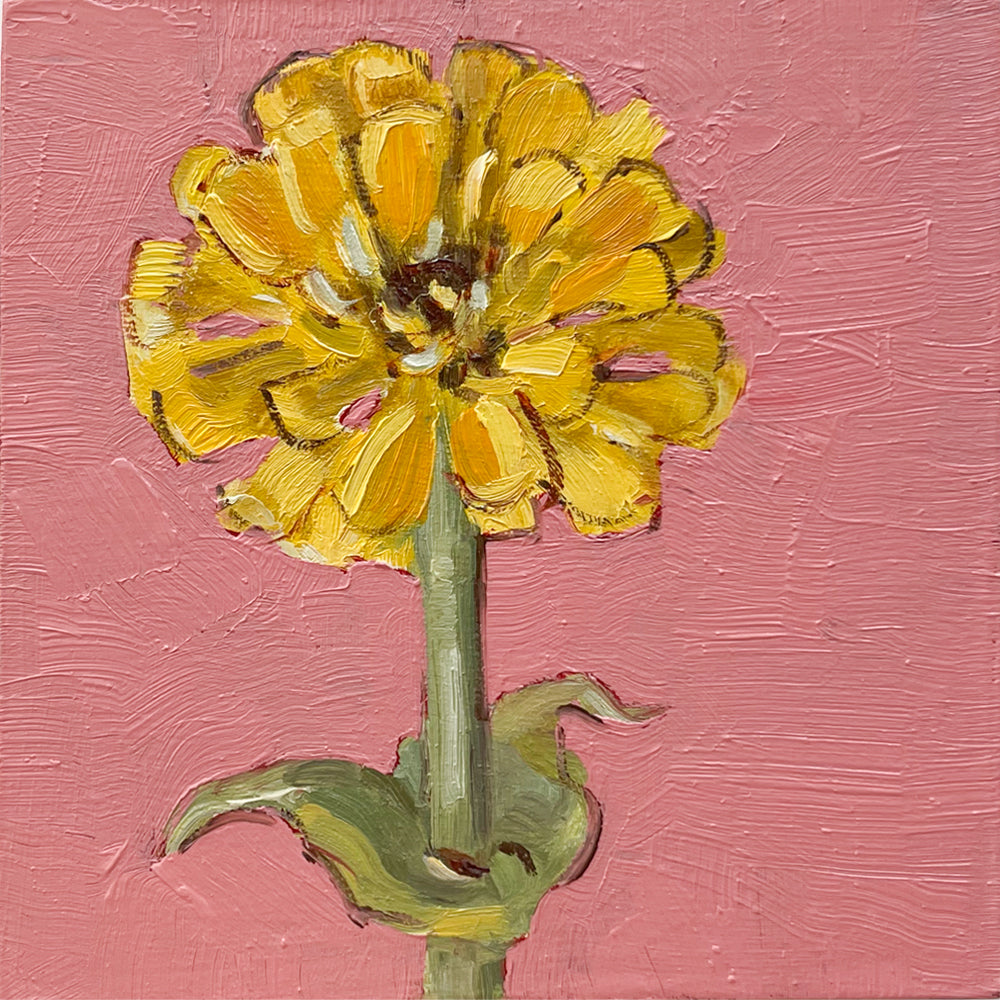 Little Zinnia II