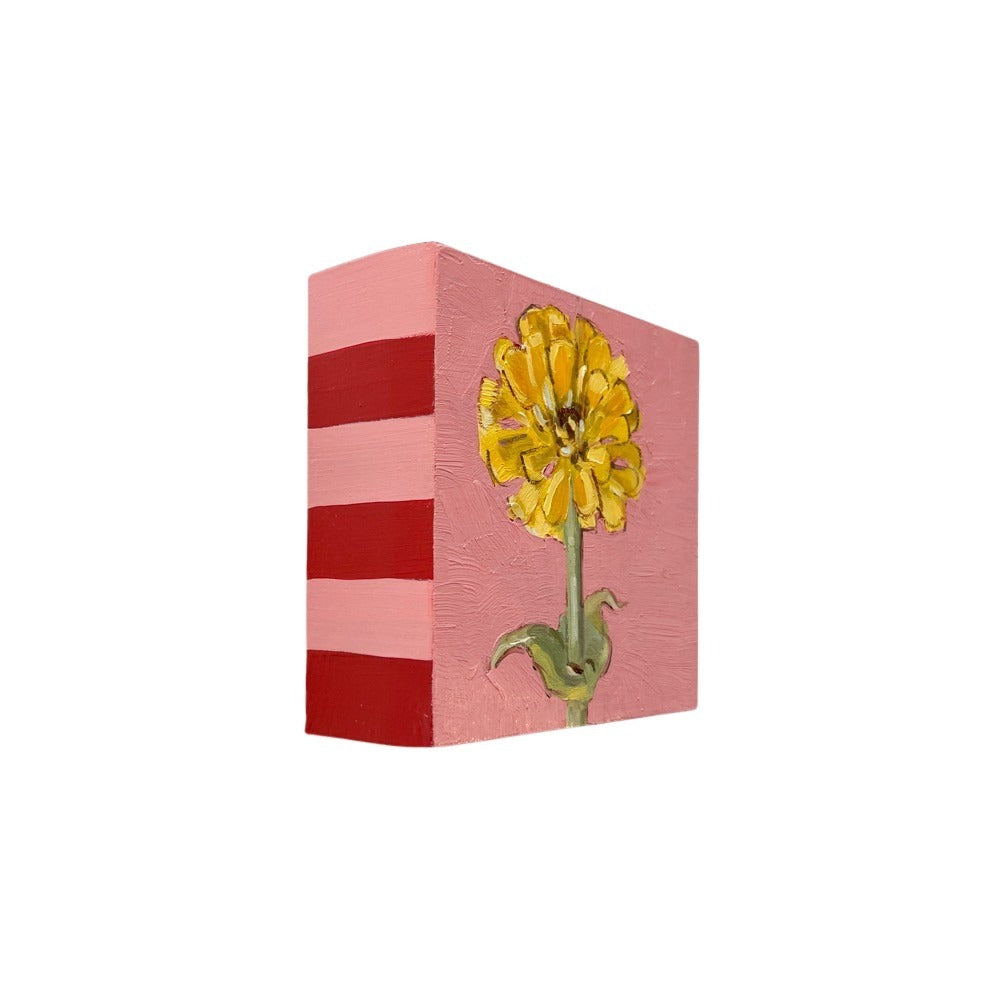 Little Zinnia II