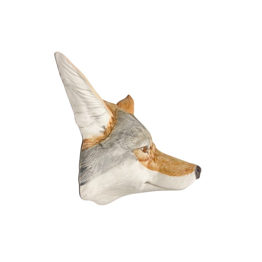 Coyote 26