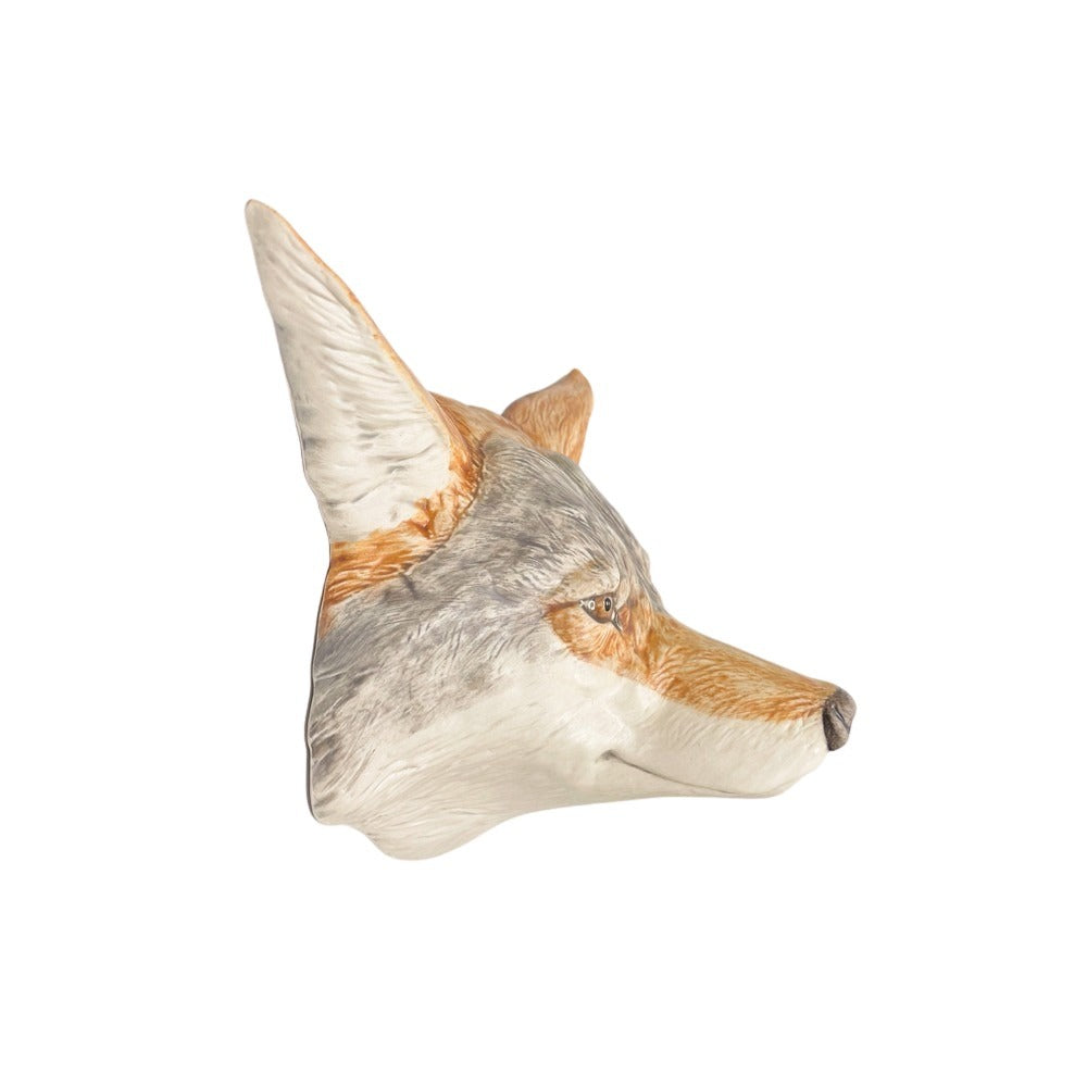 Coyote 25