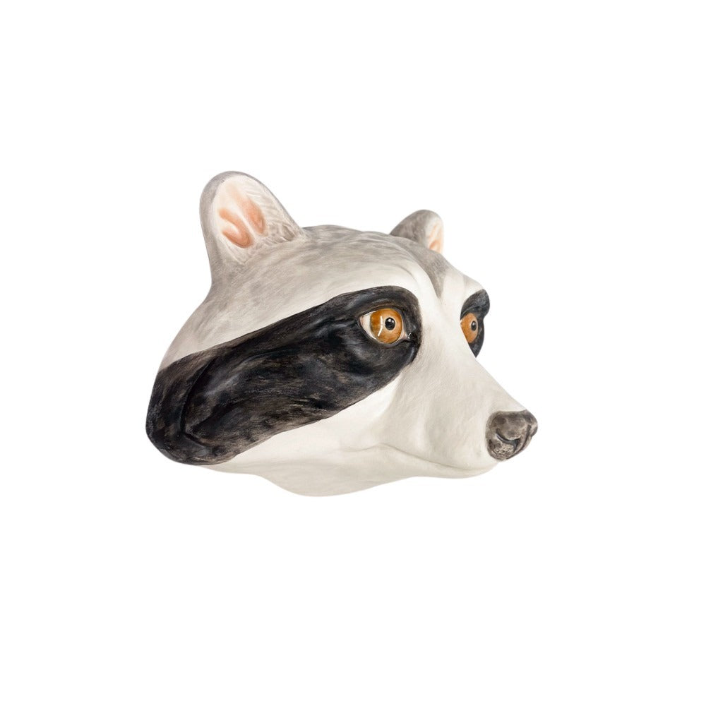 Raccoon 14