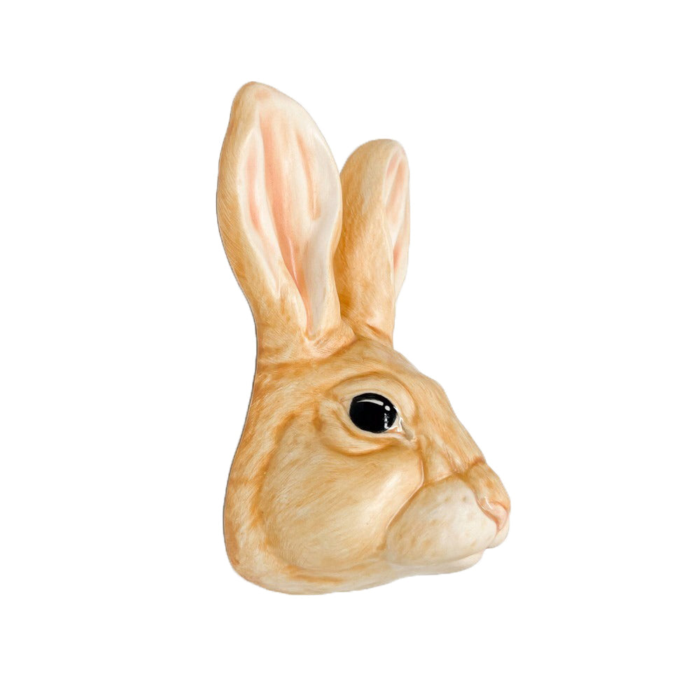 Rabbit 21
