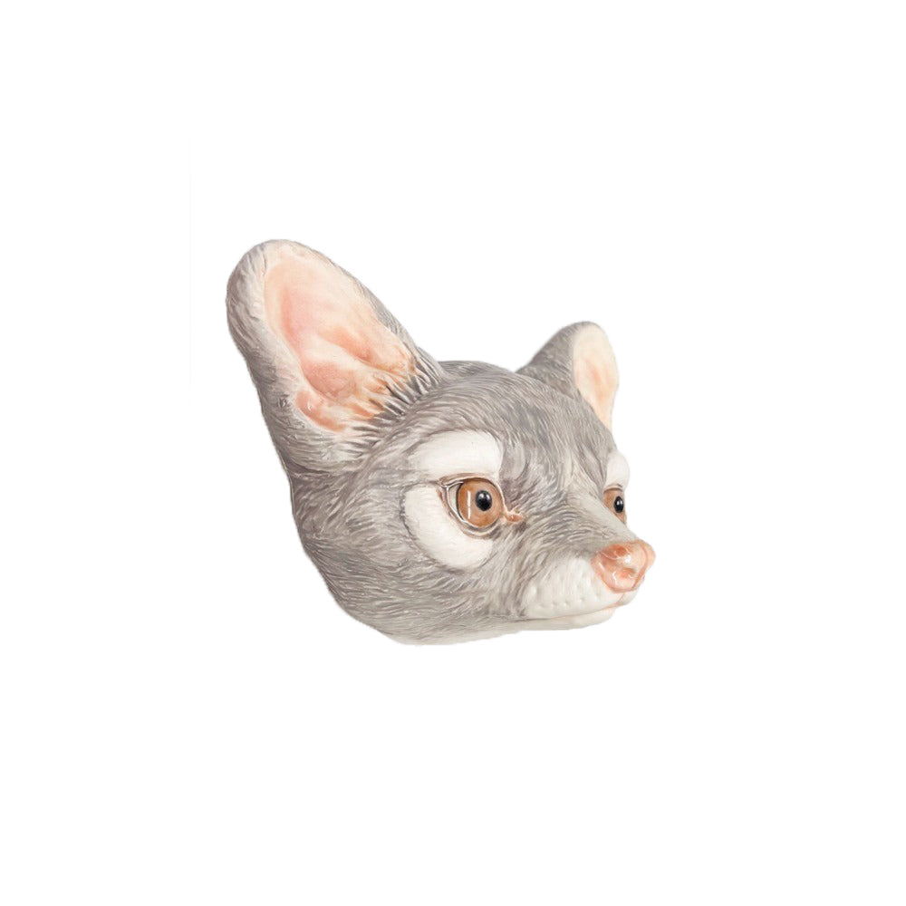 Ringtail 4