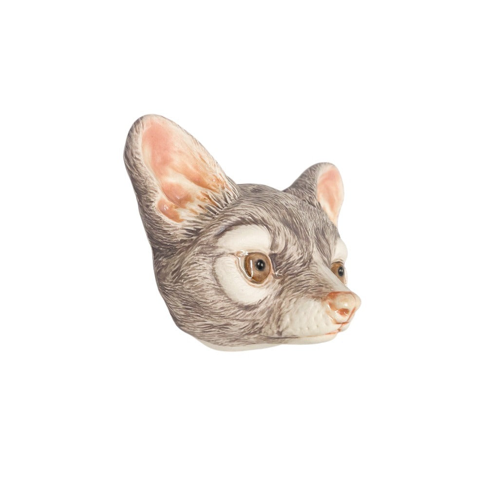 Ringtail 5