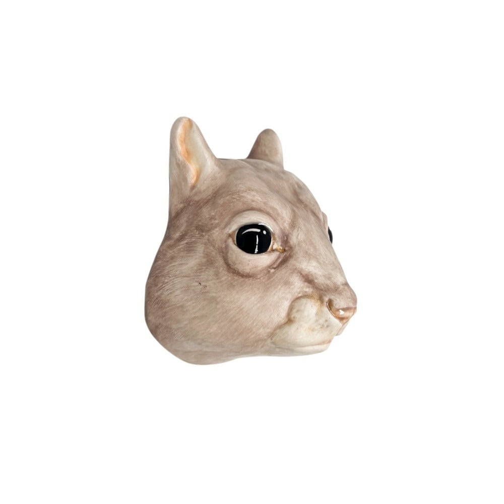 Squirrel 19
