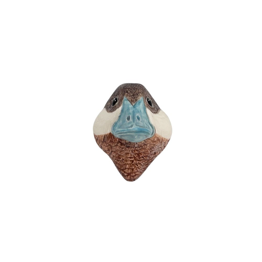 Ruddy Duck