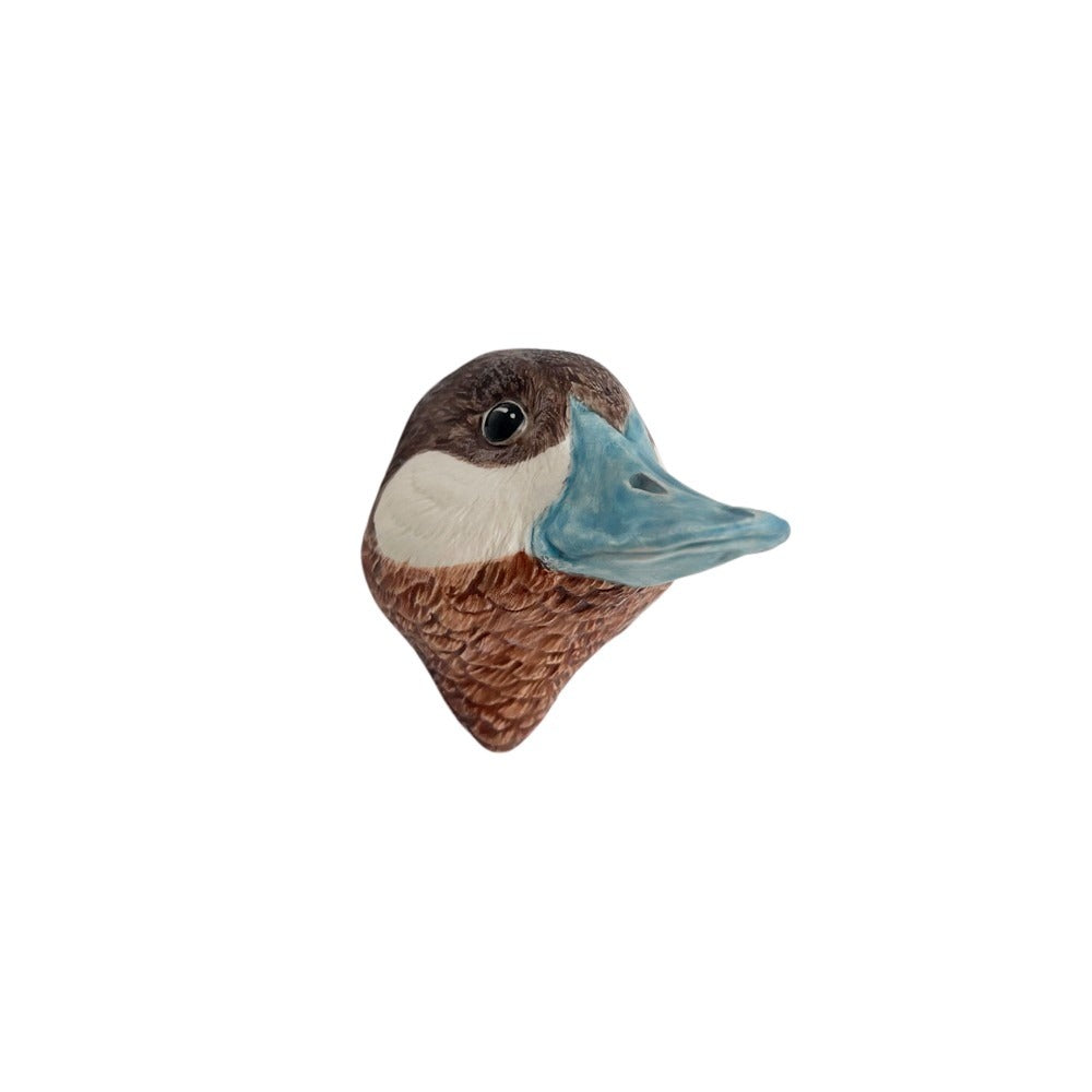 Ruddy Duck