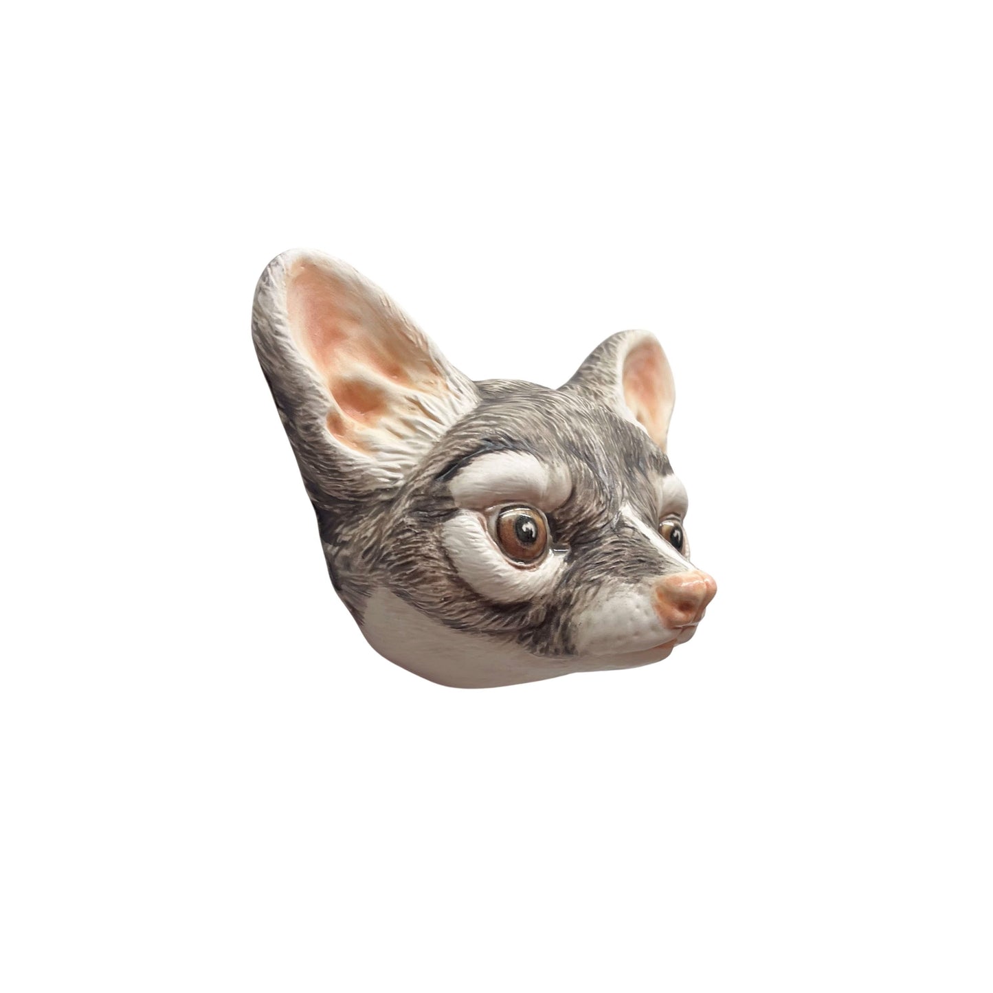 Ringtail 9