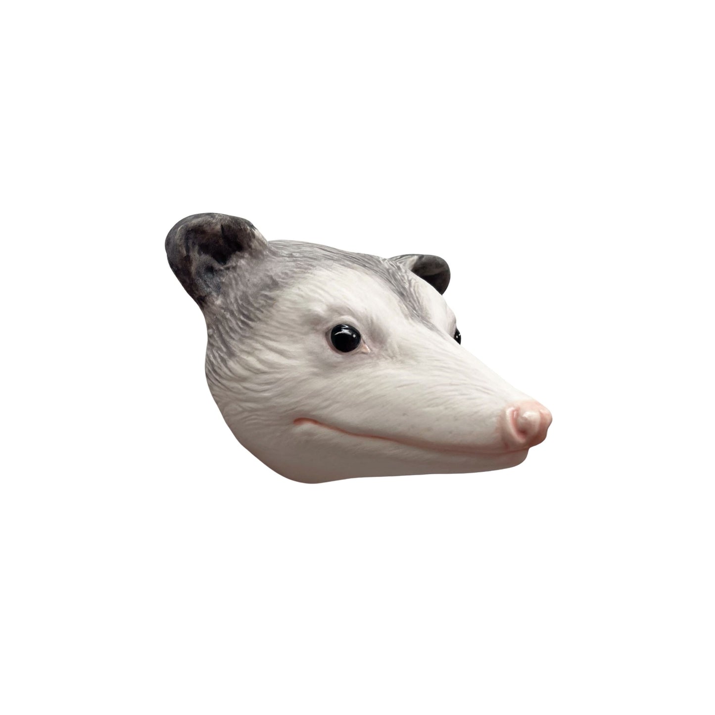 Opossum 62