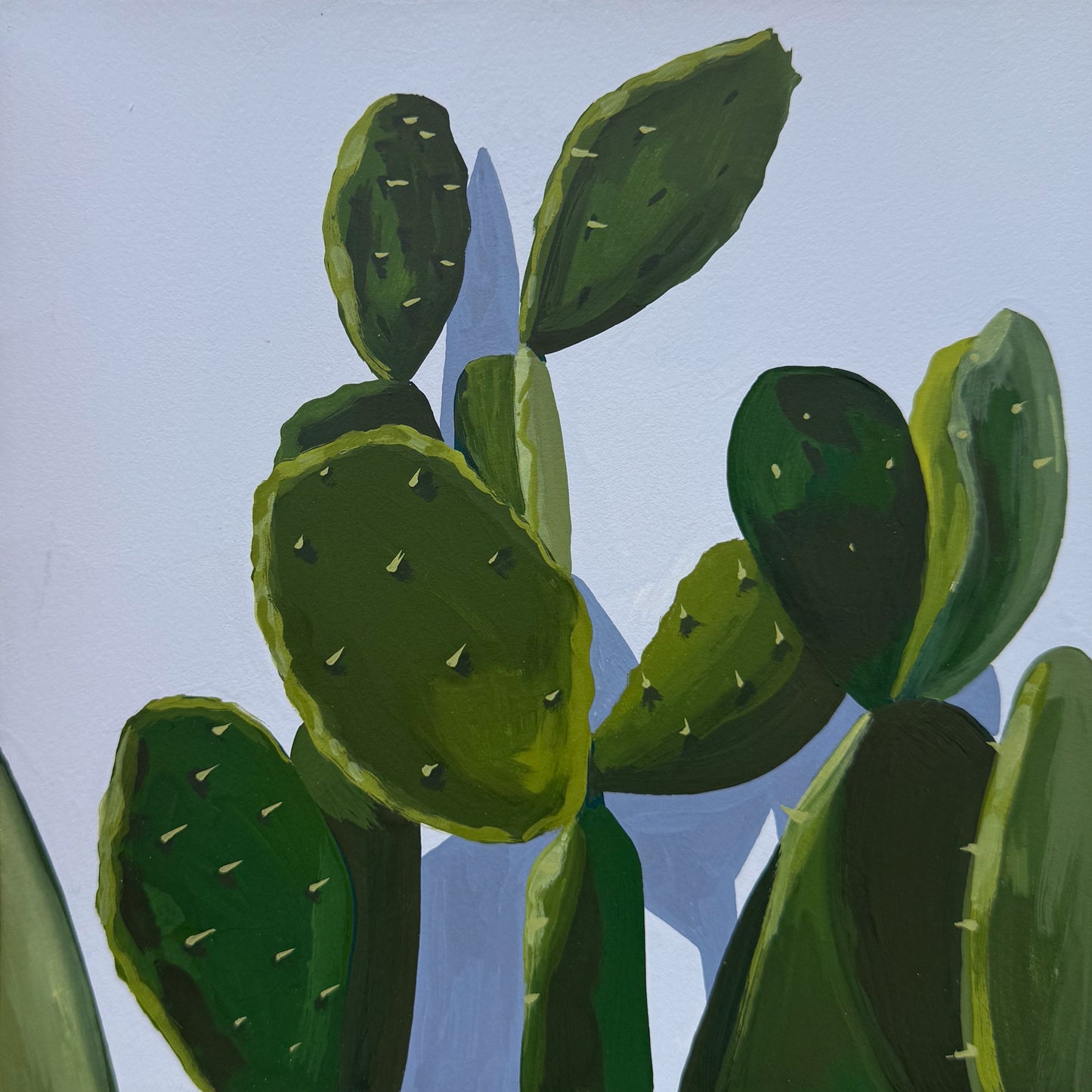 Cacti