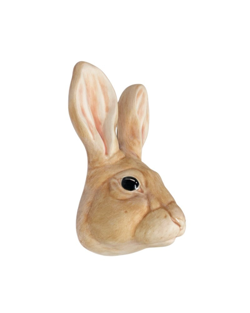Rabbit 22