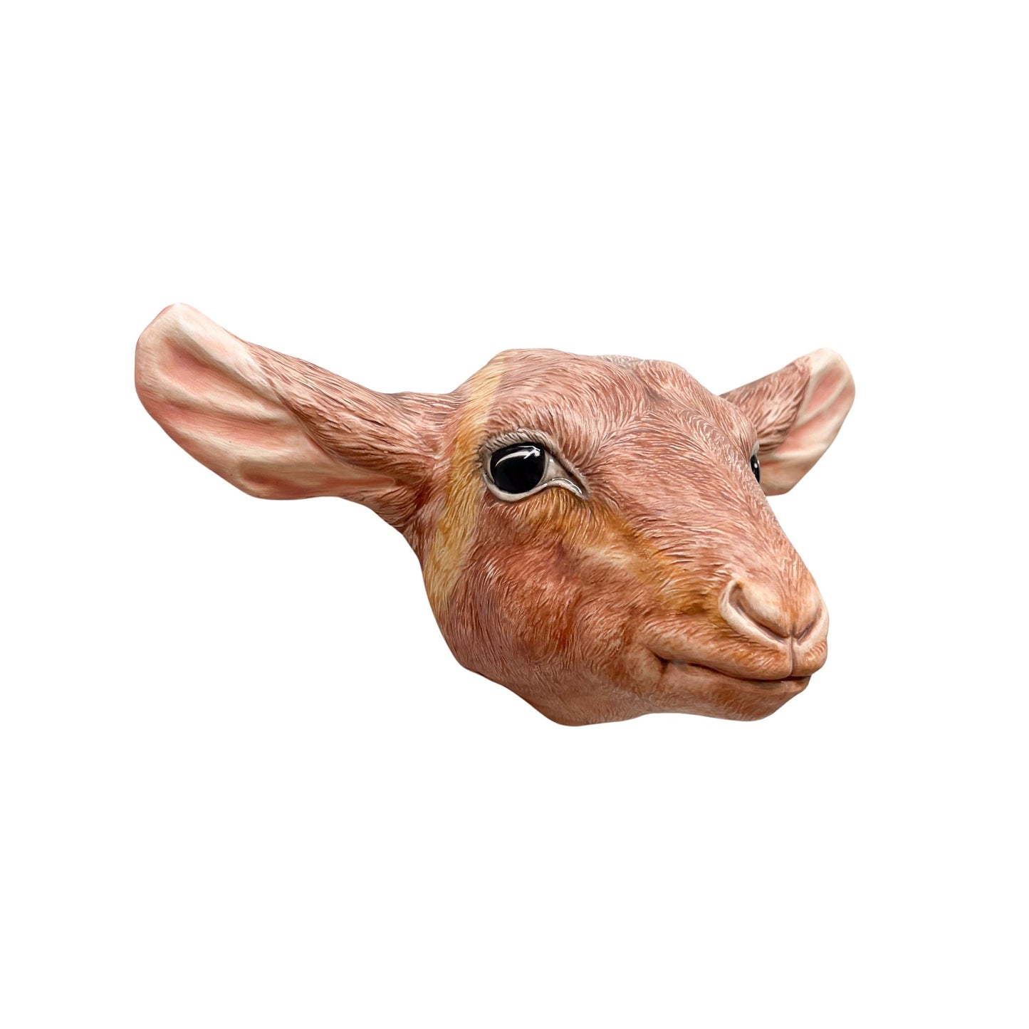Goat 15