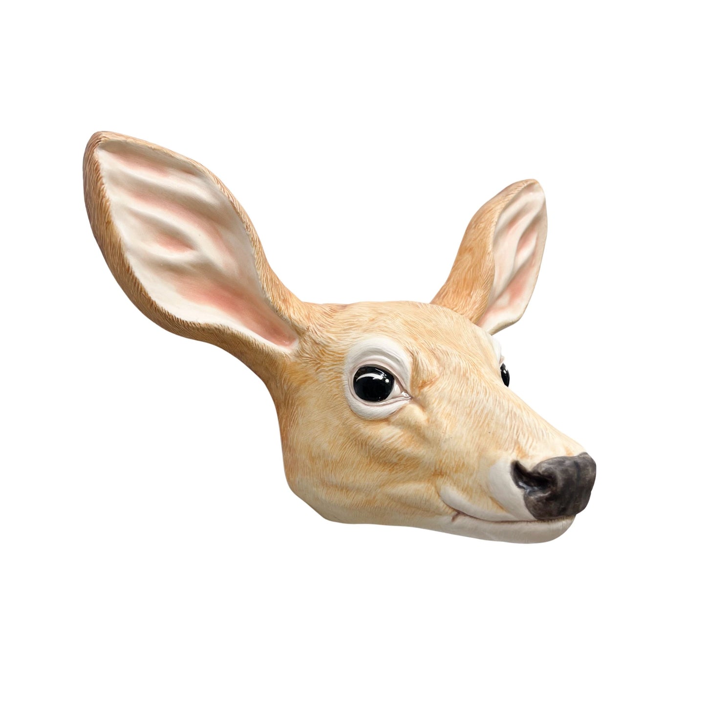 Doe 2