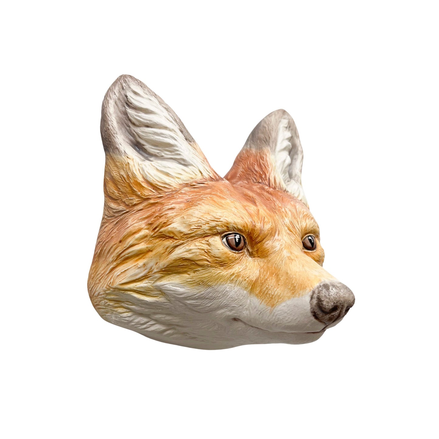 Red Fox 1