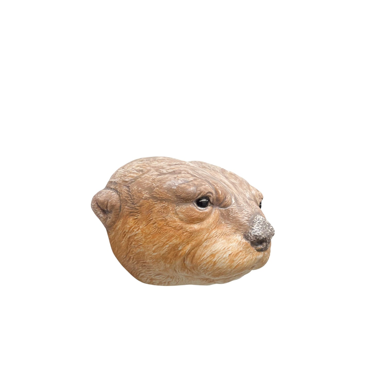 Otter 14