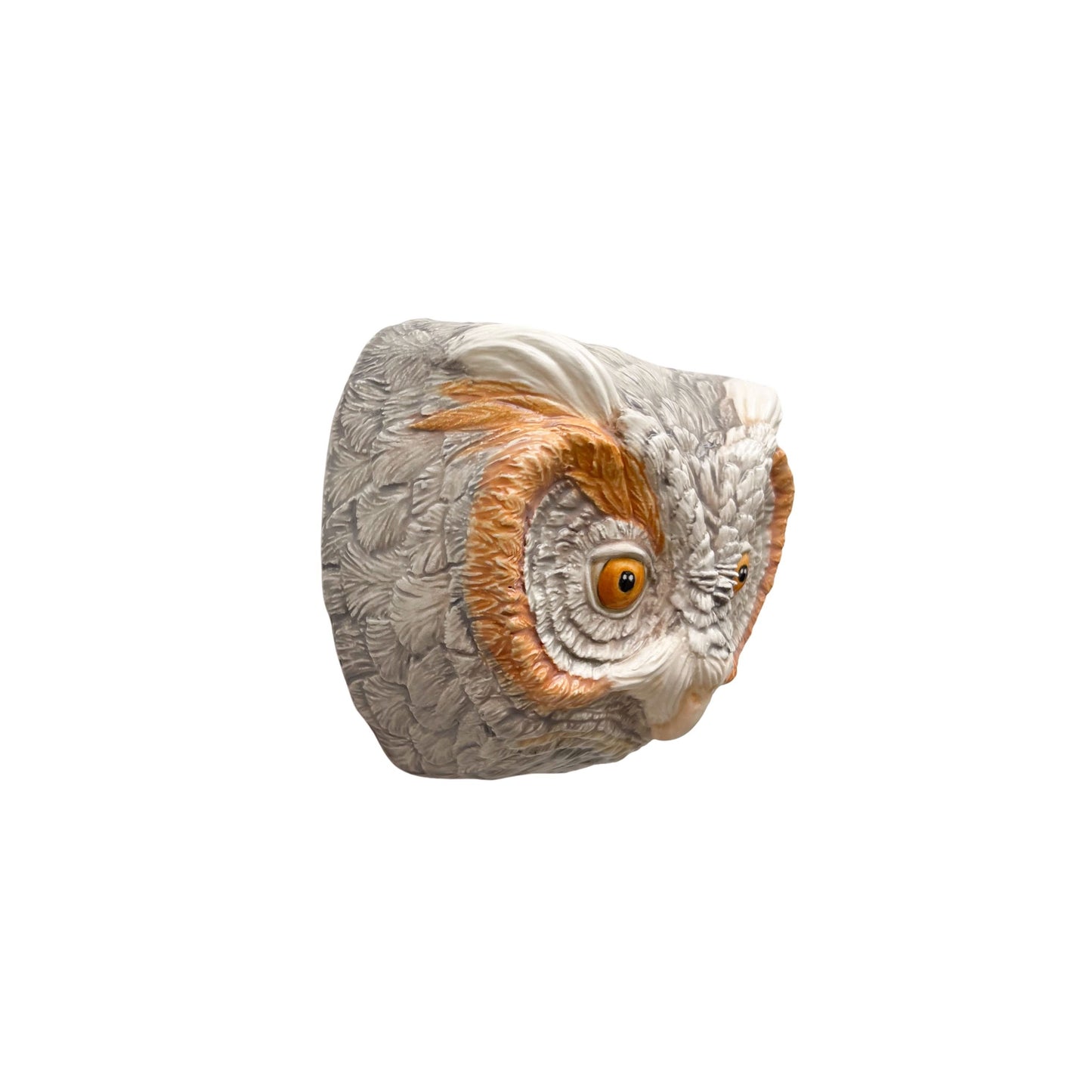 Flammulated Owl 31