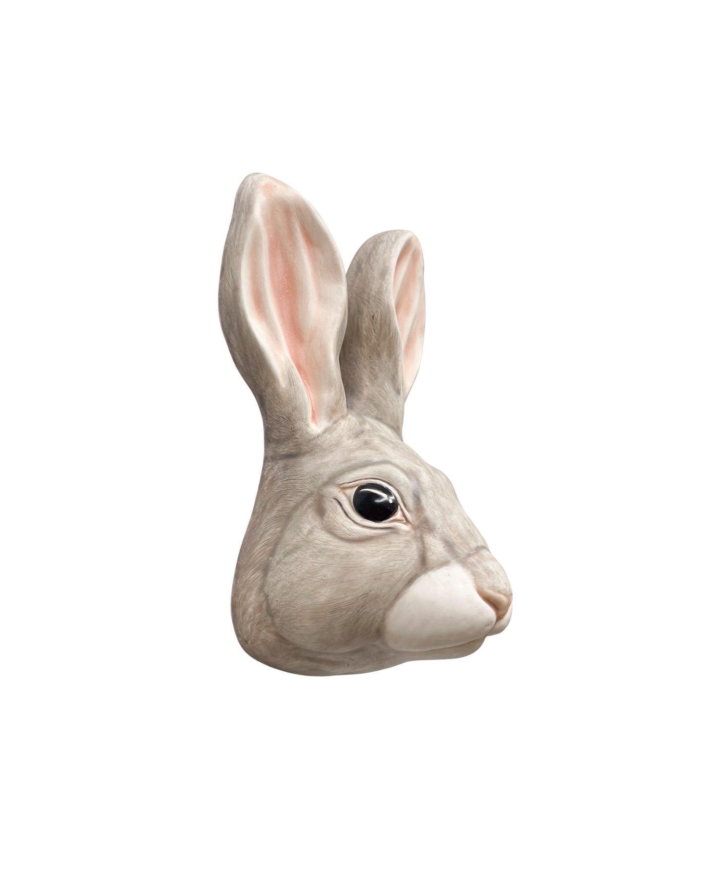 Rabbit 30